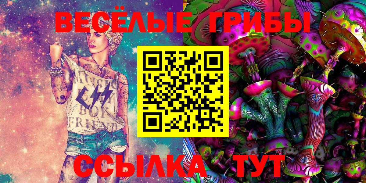 цена наркотик  Вход с VPN  Зеленогорск  Псилоцибиновые грибы мухоморы  Псилоцибиновые грибы Psilocybine cubensis 