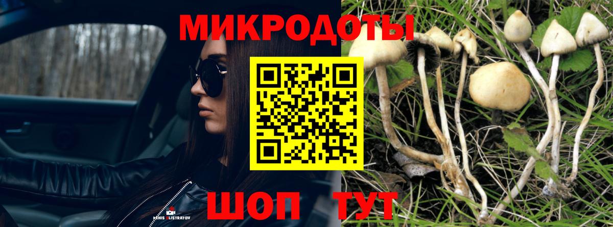 Галлюциногенные грибы мицелий Зеленогорск